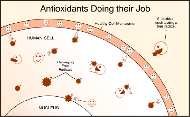 antioxidants_doing_their_job.png